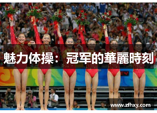 魅力体操：冠军的華麗時刻
