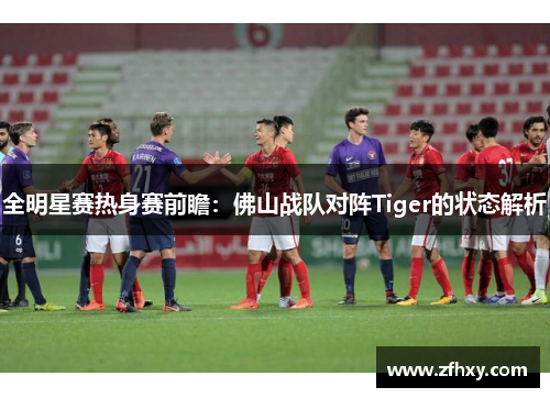 全明星赛热身赛前瞻：佛山战队对阵Tiger的状态解析